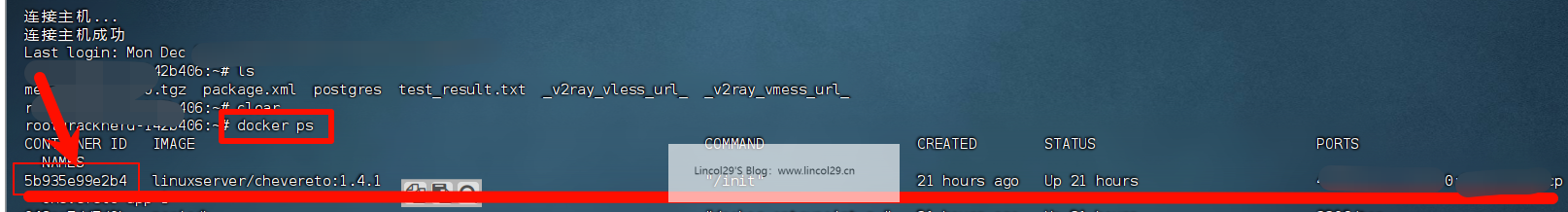 image-20241225110502469