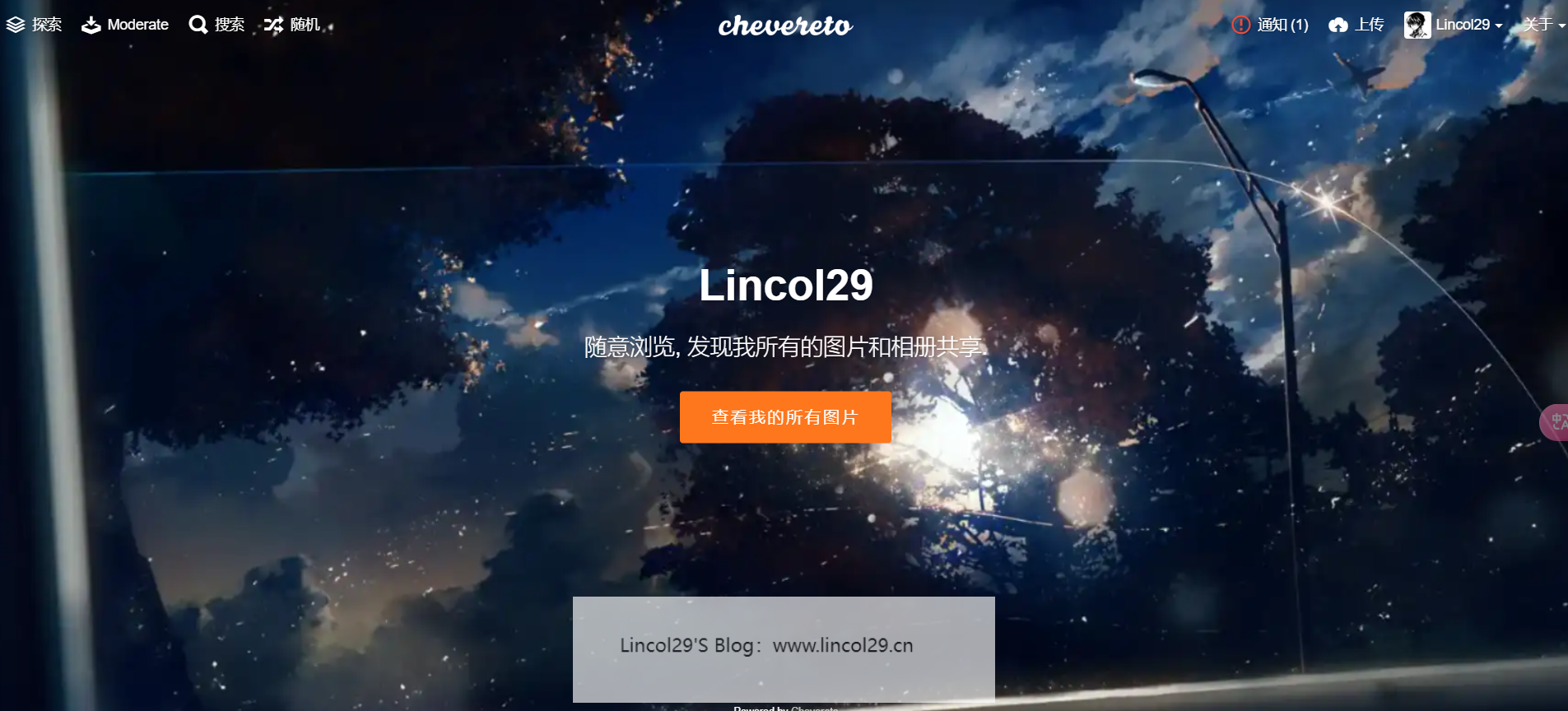 image-20241218212753394