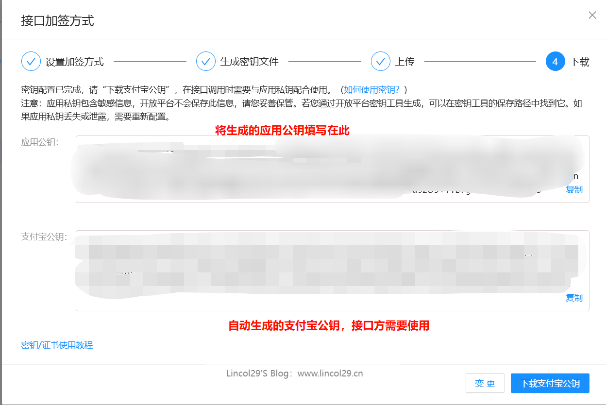 image-20241219221301631